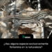 ¿Hay alguna especie exclusivamente femenina en la naturaleza?
