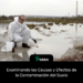Examinando las Causas y Efectos de la Contaminación del Suelo