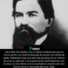 John Stith Pemberton era un oficial confederado que se volvió adicto a la morfina después de recibir una herida de sable. Pemberton hizo una serie de pociones en un intento de curar su adicción. Los experimentos de Pemberton con la coca y la cola dieron como resultado la creación del vino French Coca y más tarde de Coca-Cola.