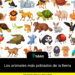 Los animales más poblados de la tierra