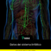 Datos del sistema linfático