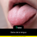 Datos de la lengua